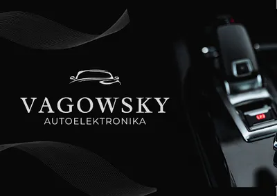 VAGOWSKY ELEKTRONIKA